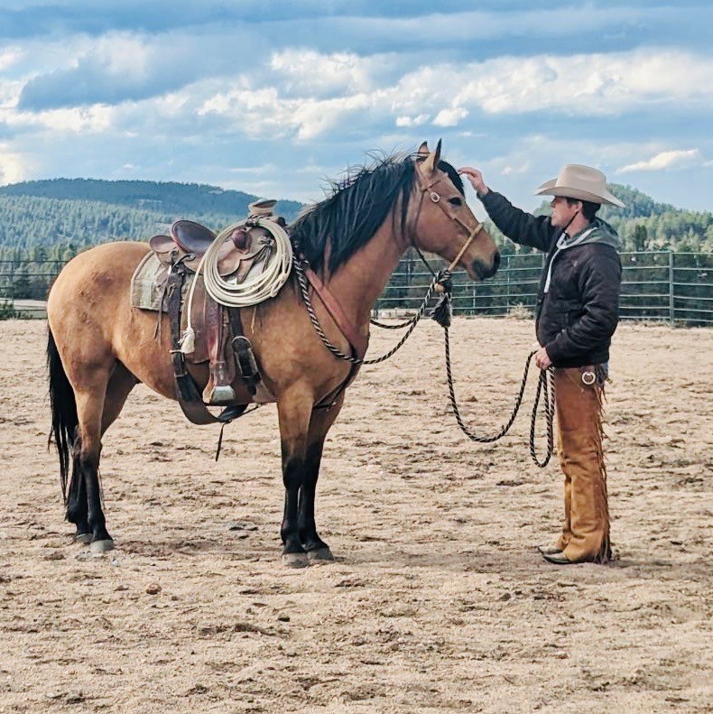 horse training in woodland park co