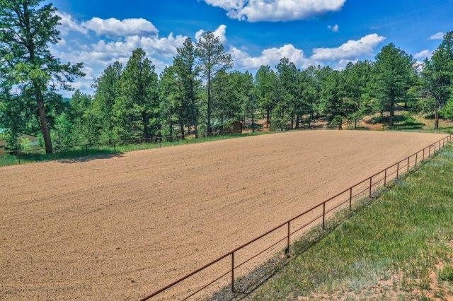 horse boarding outdoor arena in teller county co